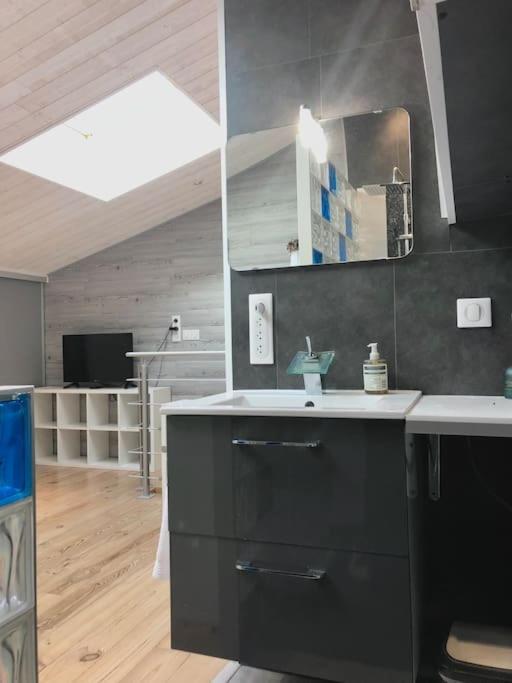Leguevin Duplex Atypique 20' De Toulouse 아파트 외부 사진