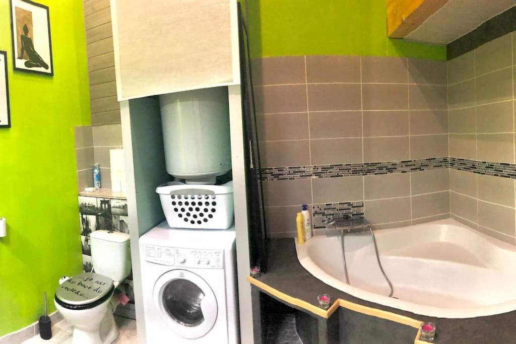 Leguevin Duplex Atypique 20' De Toulouse 아파트 외부 사진